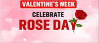 Happy Rose Day: Significance of various rose colours!!!